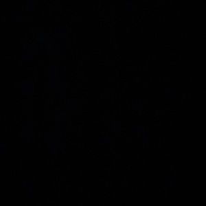 ANYTHING I HAVE POSTED IN MY CLOSET WILL BE DONATED AND GONE BY THE WEEKEND !